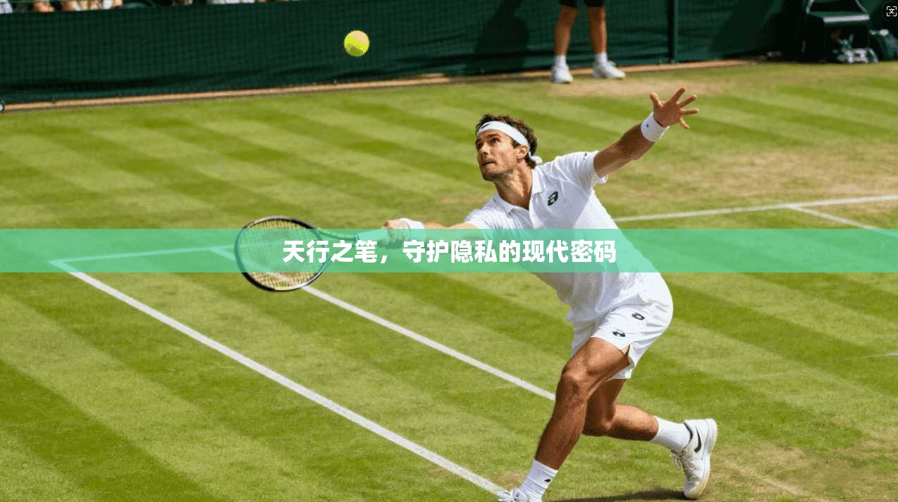 天行之笔,守护隐私的现代密码