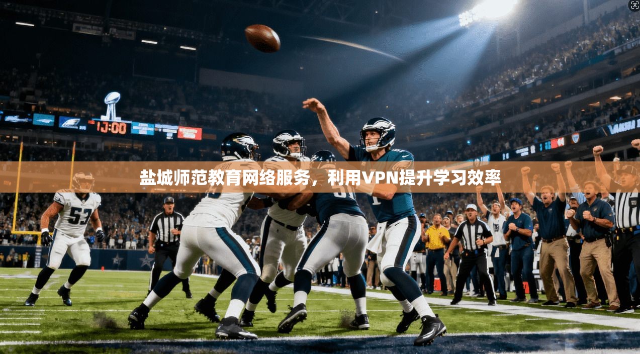 盐城师范教育网络服务，利用VPN提升学习效率
