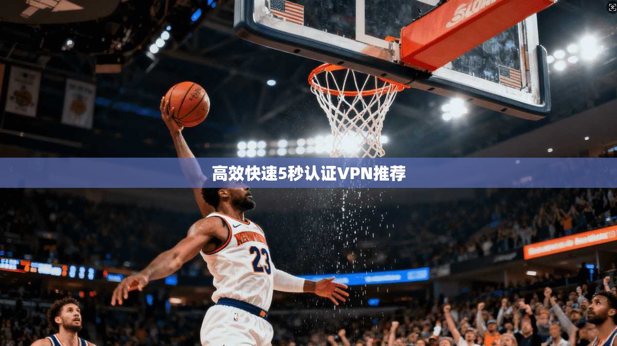 高效快速5秒认证VPN推荐