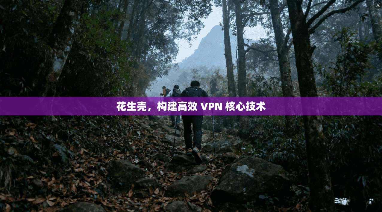 花生壳,构建高效 VPN 核心技术