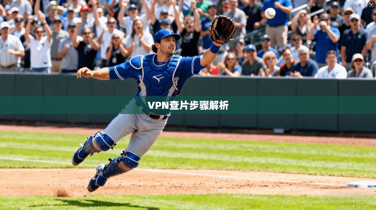 VPN查片步骤解析