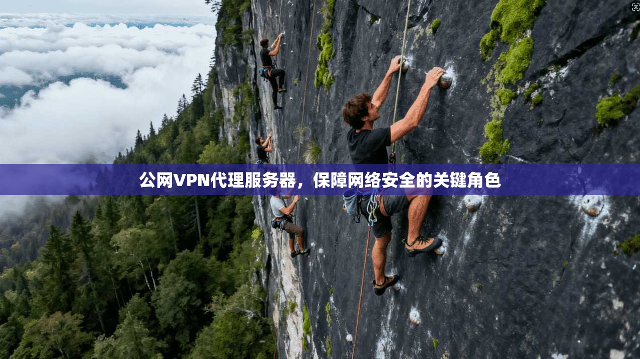 公网VPN代理服务器,保障网络安全的关键角色