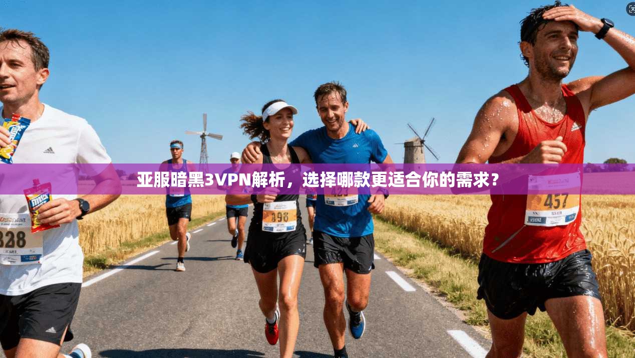 亚服暗黑3VPN解析，选择哪款更适合你的需求？