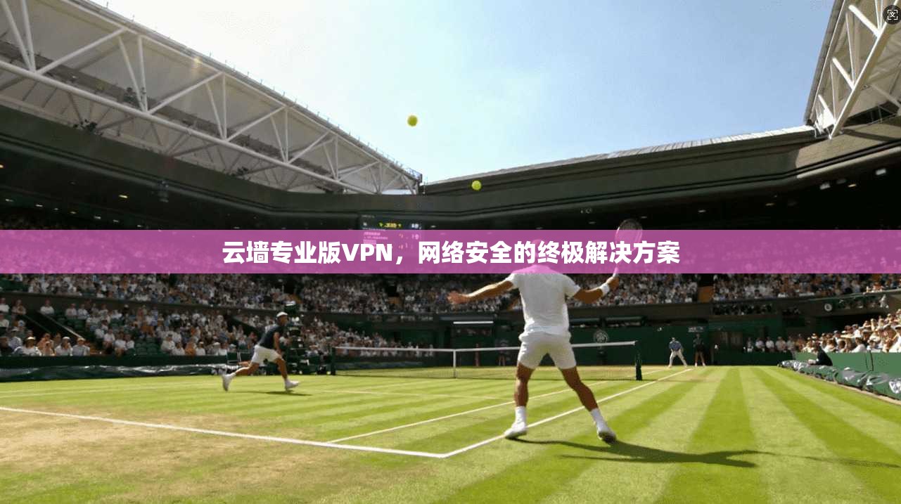 云墙专业版VPN，网络安全的终极解决方案