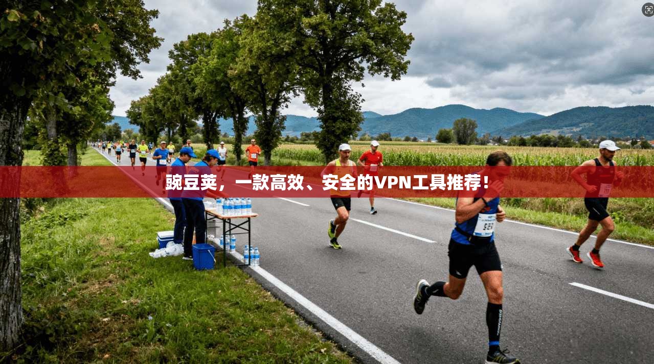 豌豆荚，一款高效、安全的VPN工具推荐！