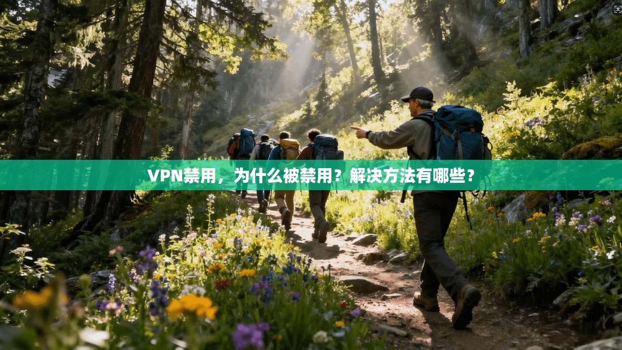 VPN禁用，为什么被禁用？解决方法有哪些？