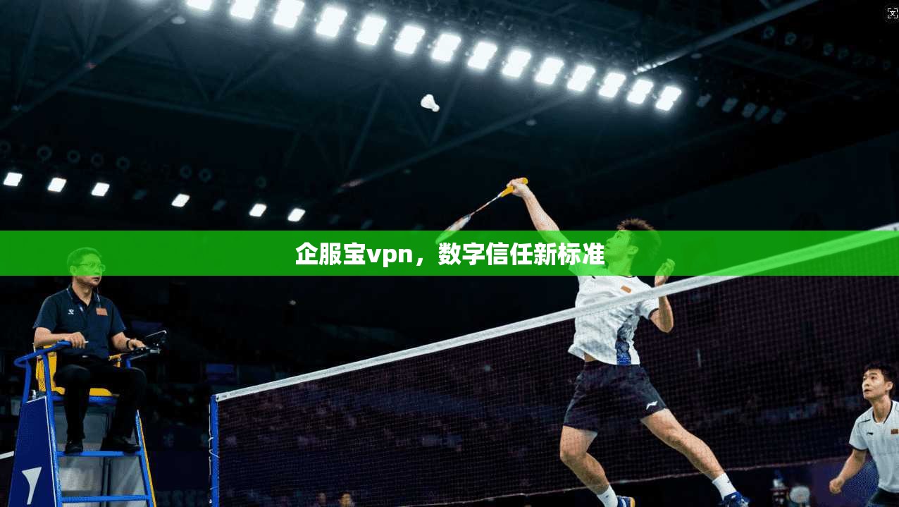 企服宝vpn,数字信任新标准