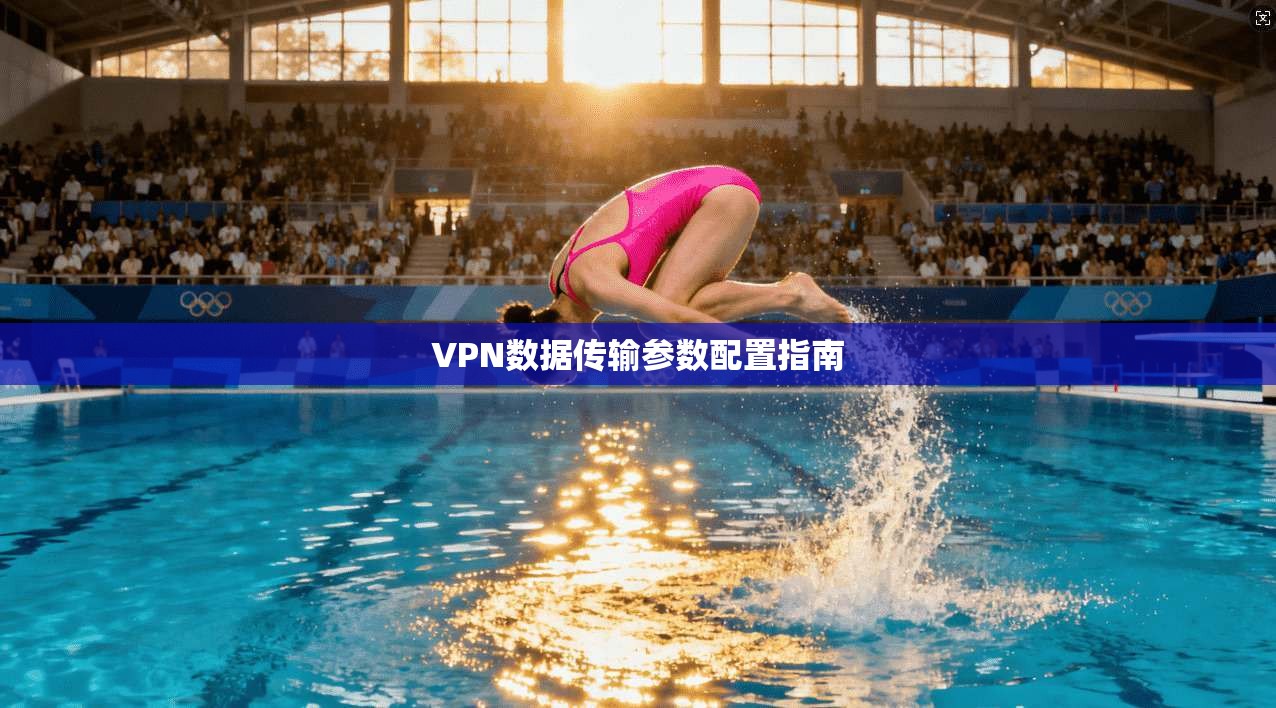 VPN数据传输参数配置指南