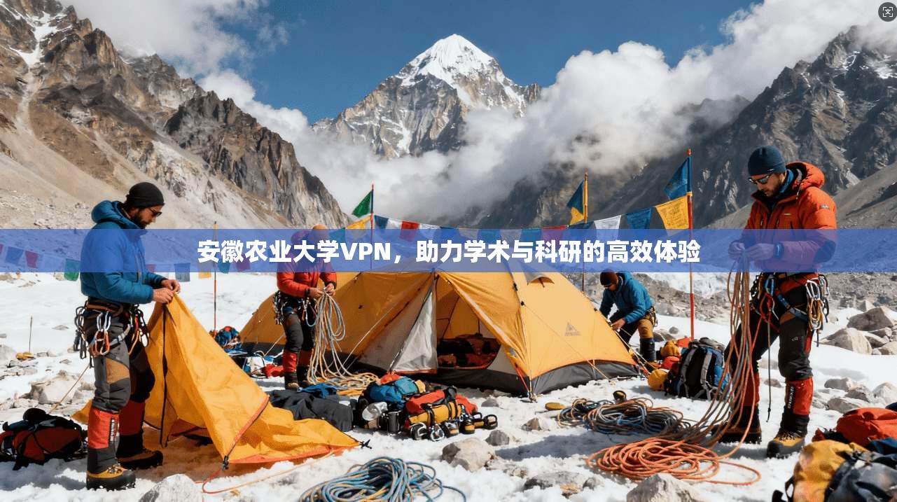 安徽农业大学VPN，助力学术与科研的高效体验