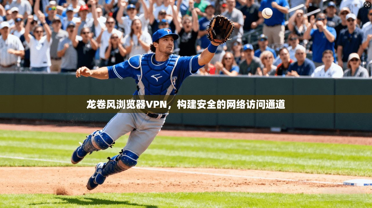 龙卷风浏览器VPN，构建安全的网络访问通道