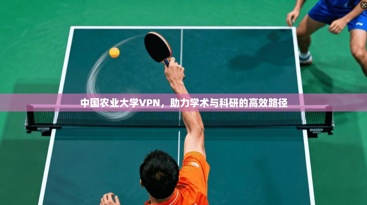 中国农业大学VPN,助力学术与科研的高效路径