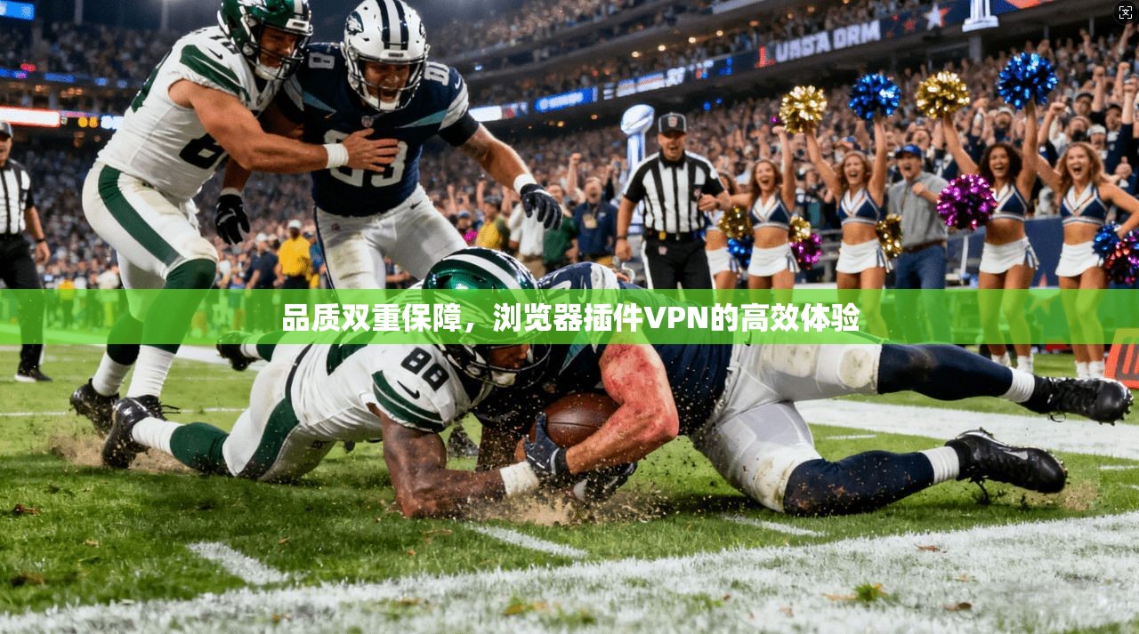 品质双重保障，浏览器插件VPN的高效体验