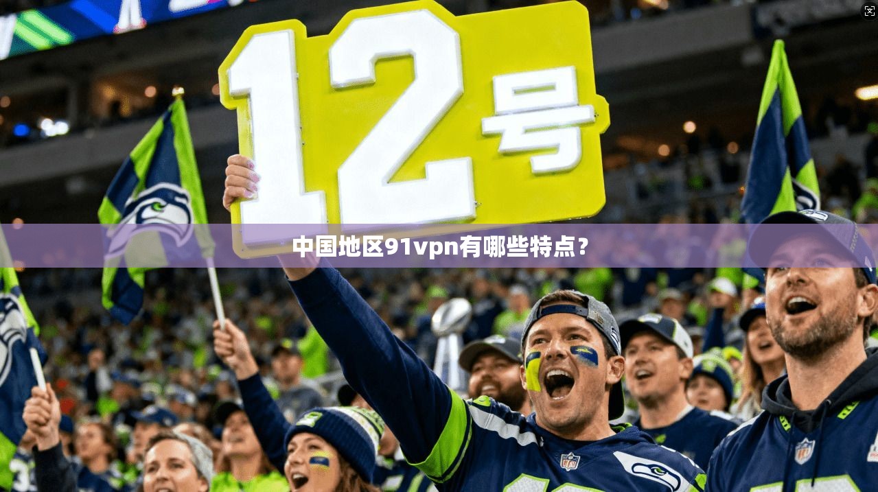 中国地区91vpn有哪些特点？