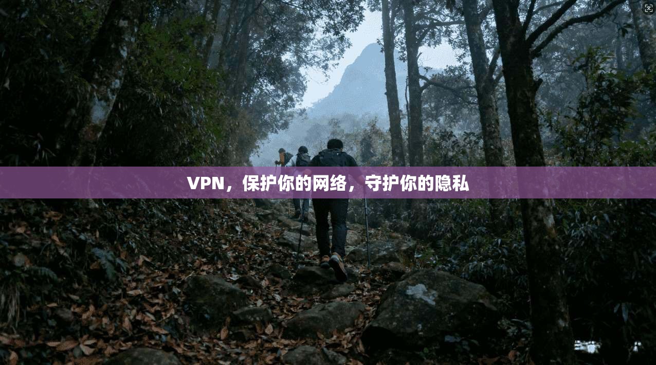 VPN，保护你的网络，守护你的隐私