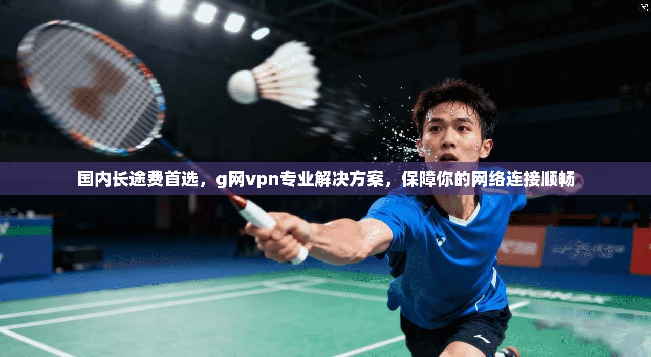 国内长途费首选，g网vpn专业解决方案，保障你的网络连接顺畅