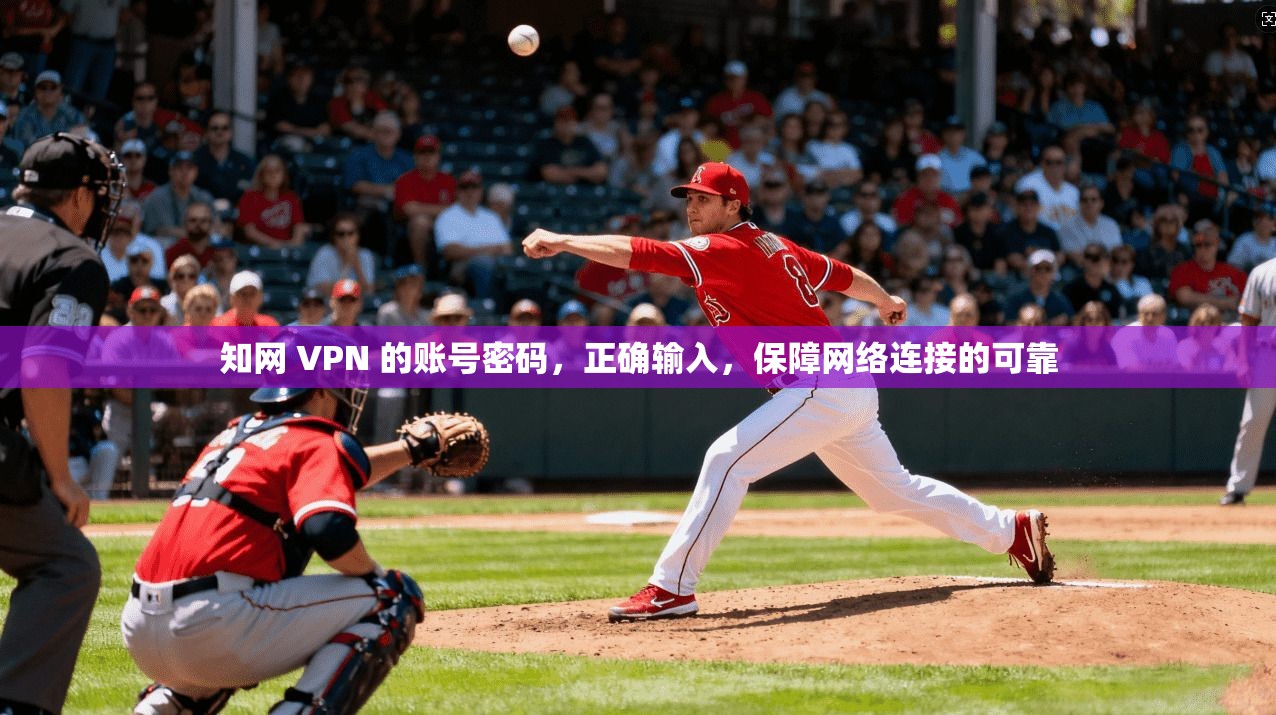 知网 VPN 的账号密码，正确输入，保障网络连接的可靠