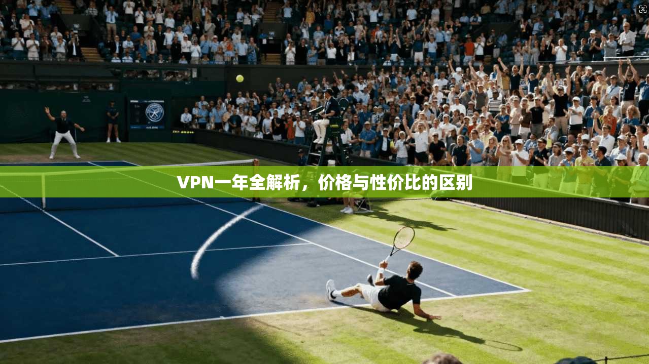VPN一年全解析，价格与性价比的区别
