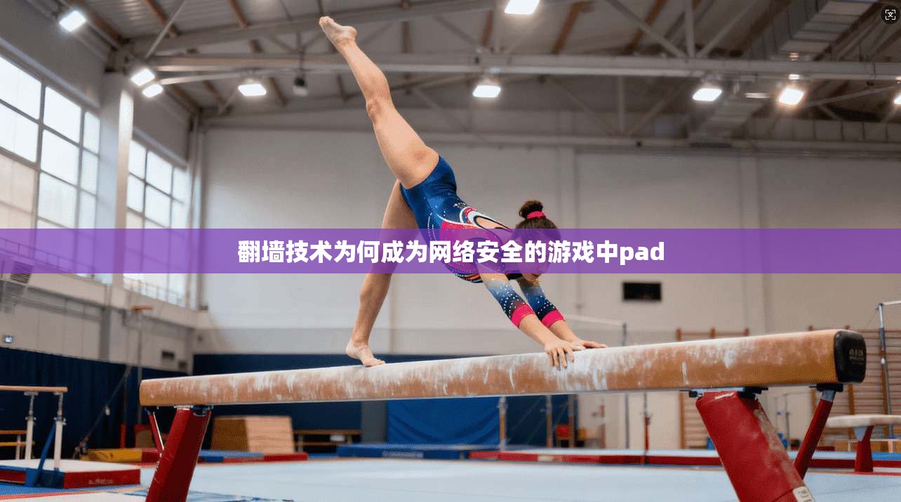 翻墙技术为何成为网络安全的游戏中pad