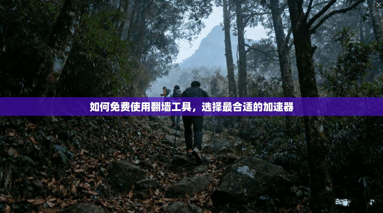 如何免费使用翻墙工具，选择最合适的加速器