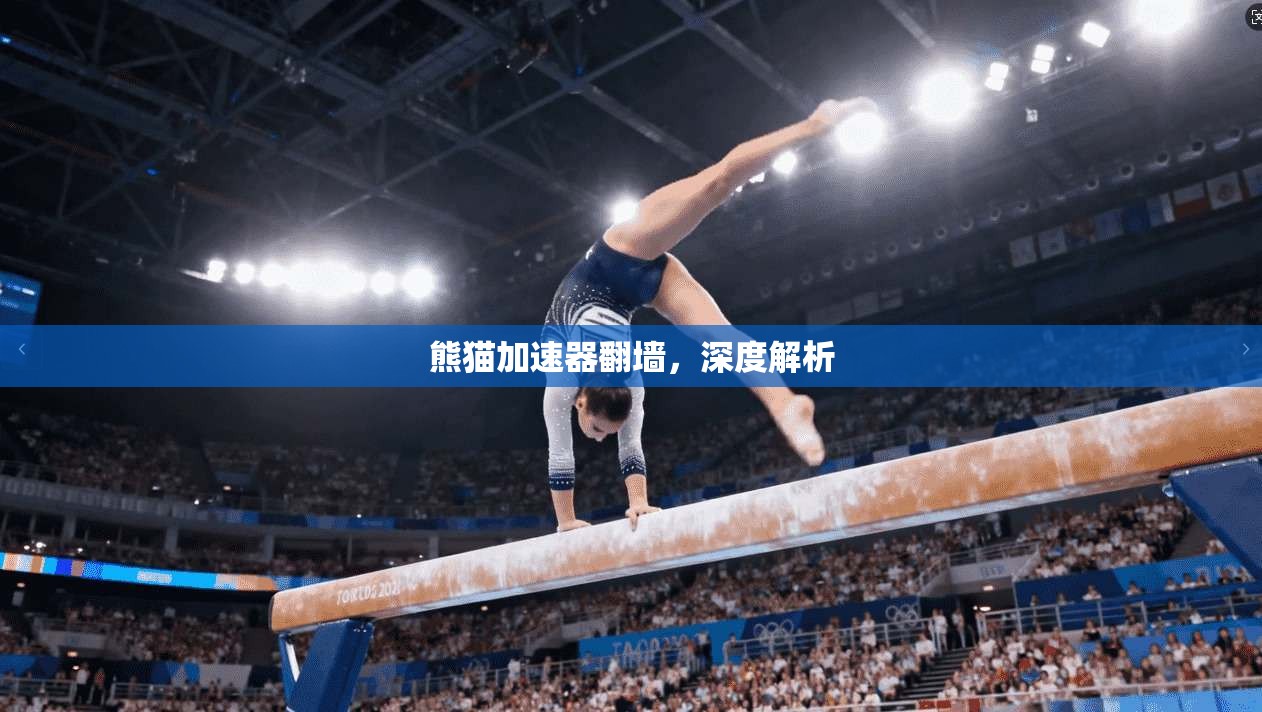 熊猫加速器翻墙,深度解析