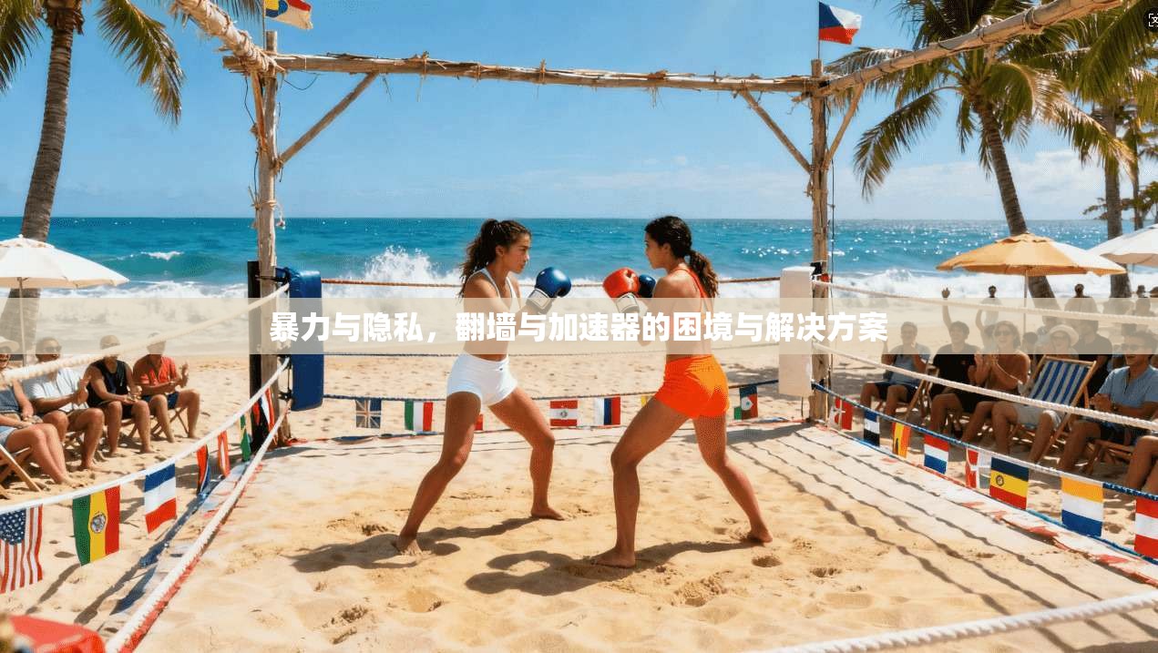 暴力与隐私,翻墙与加速器的困境与解决方案