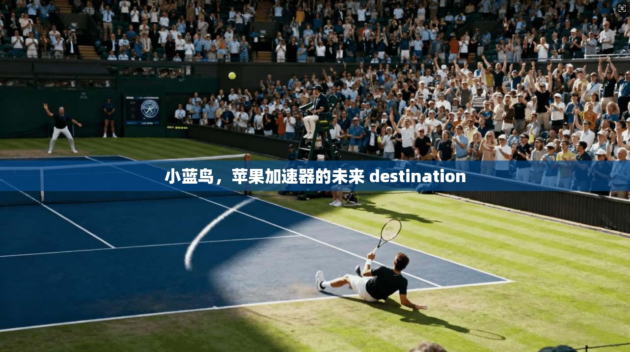小蓝鸟，苹果加速器的未来 destination