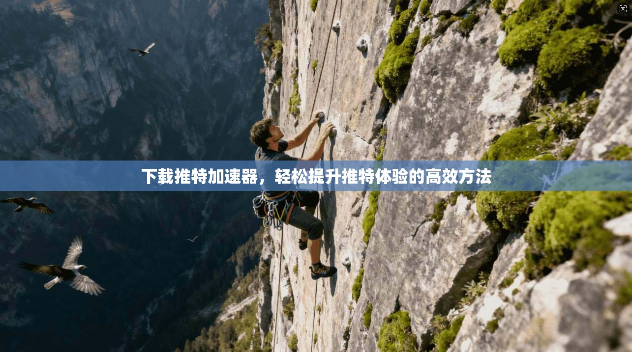 下载推特加速器,轻松提升推特体验的高效方法