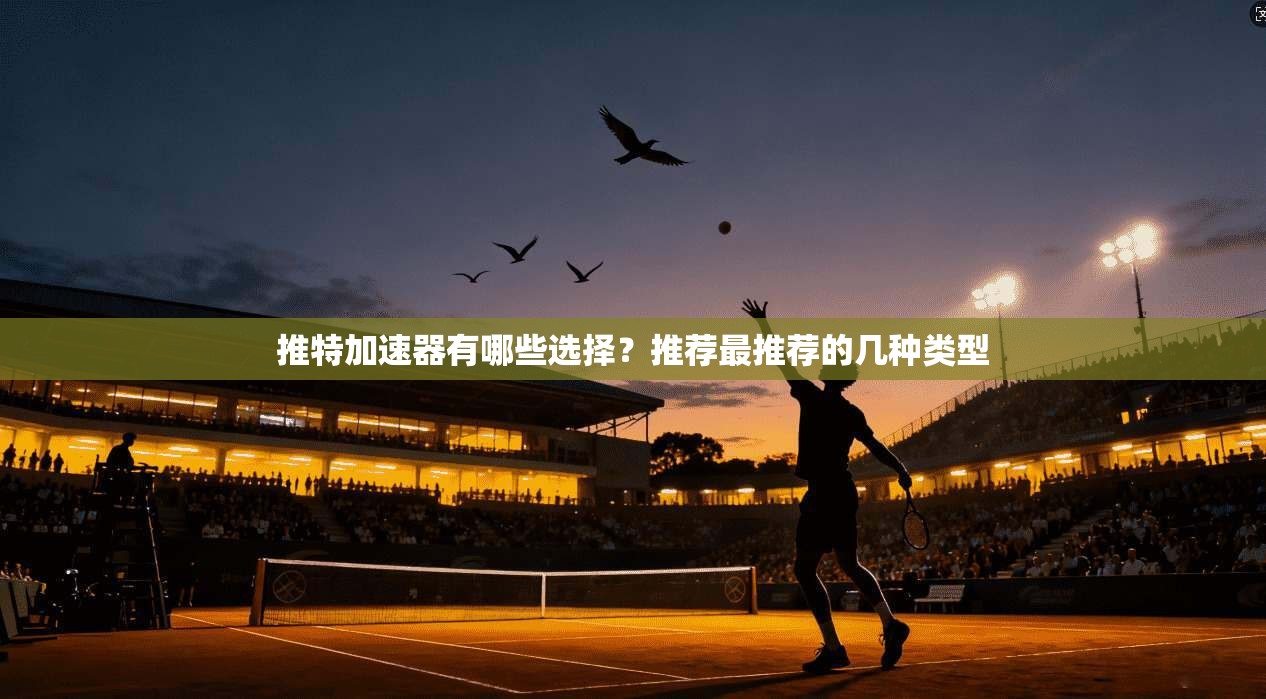 推特加速器有哪些选择？推荐最推荐的几种类型