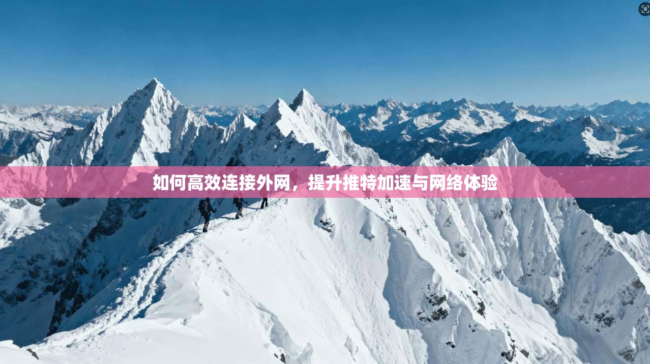 如何高效连接外网，提升推特加速与网络体验