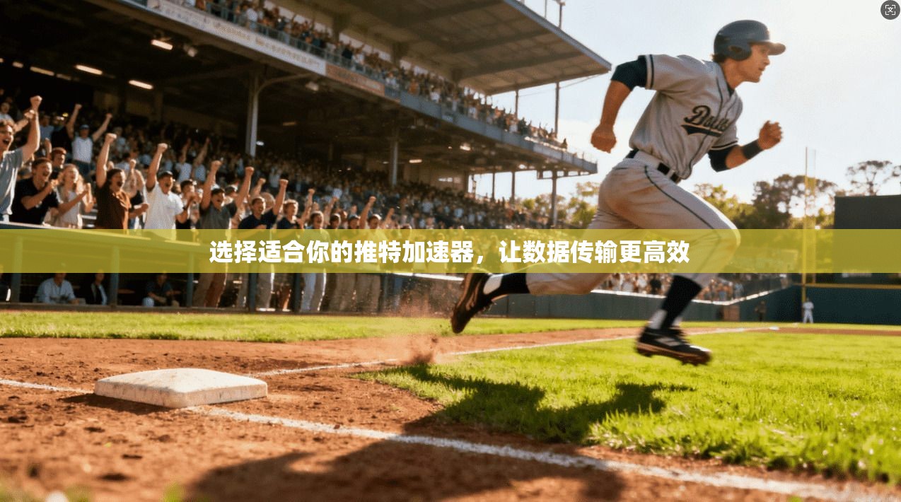选择适合你的推特加速器，让数据传输更高效