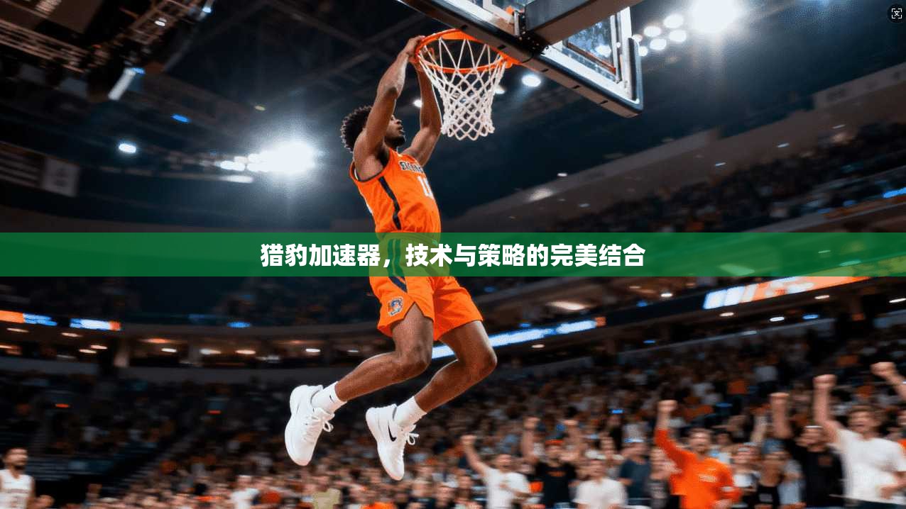 猎豹加速器，技术与策略的完美结合