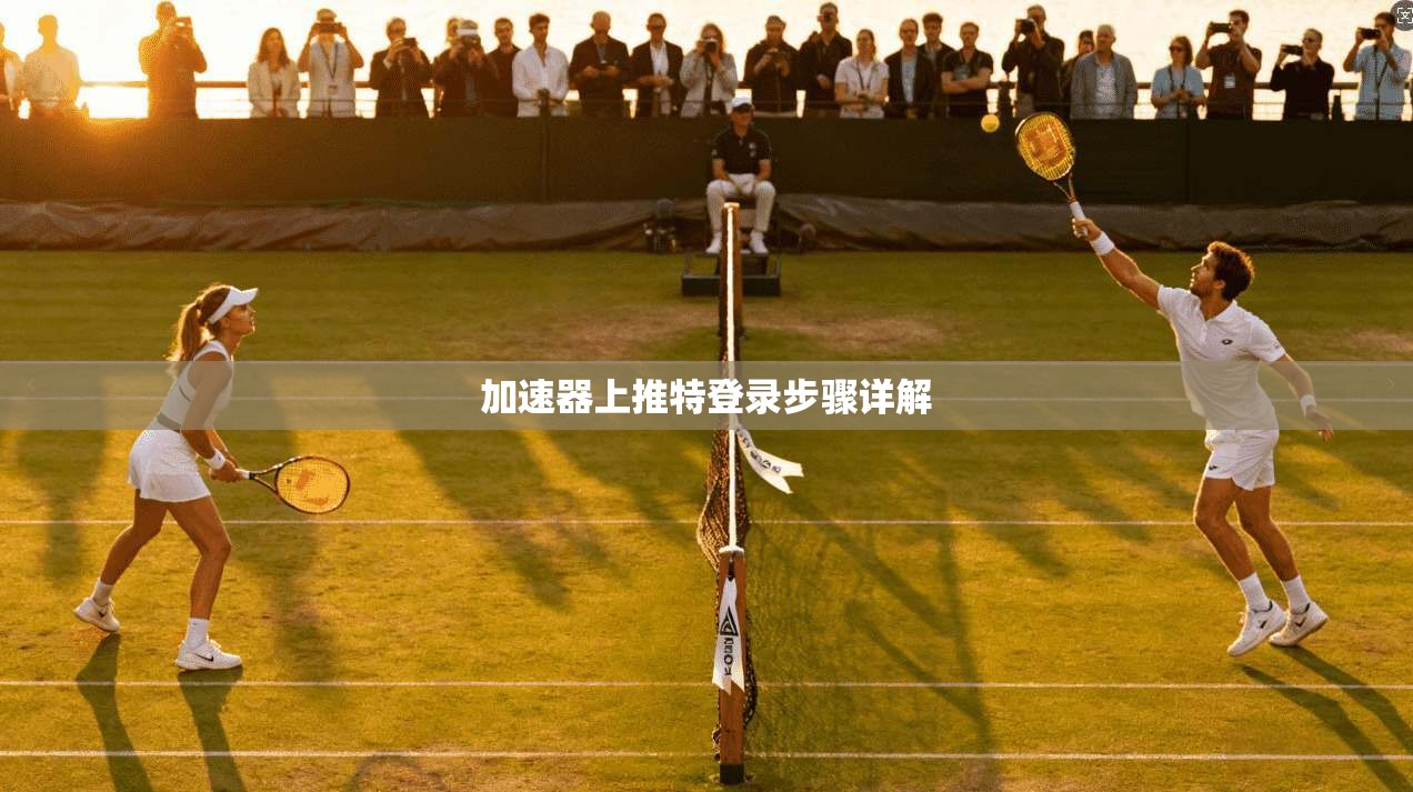 加速器上推特登录步骤详解