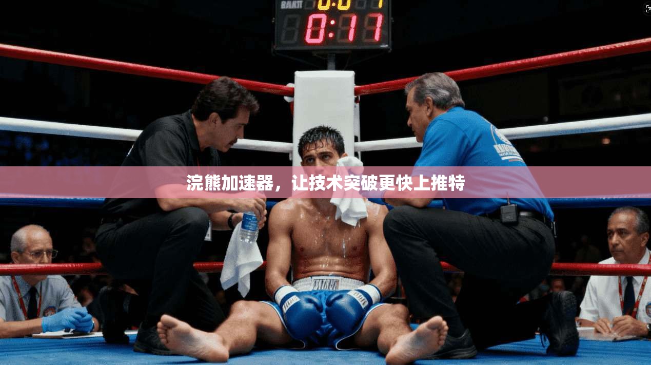 浣熊加速器，让技术突破更快上推特