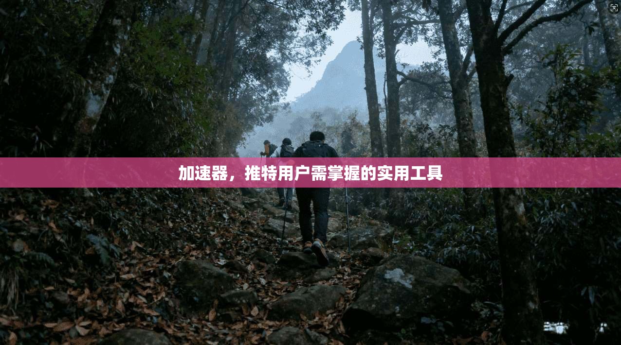 加速器,推特用户需掌握的实用工具