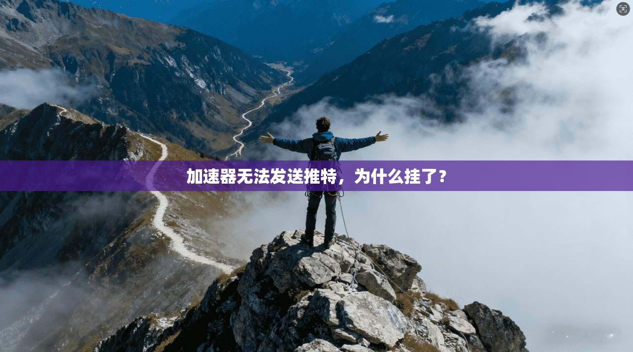 加速器无法发送推特，为什么挂了？