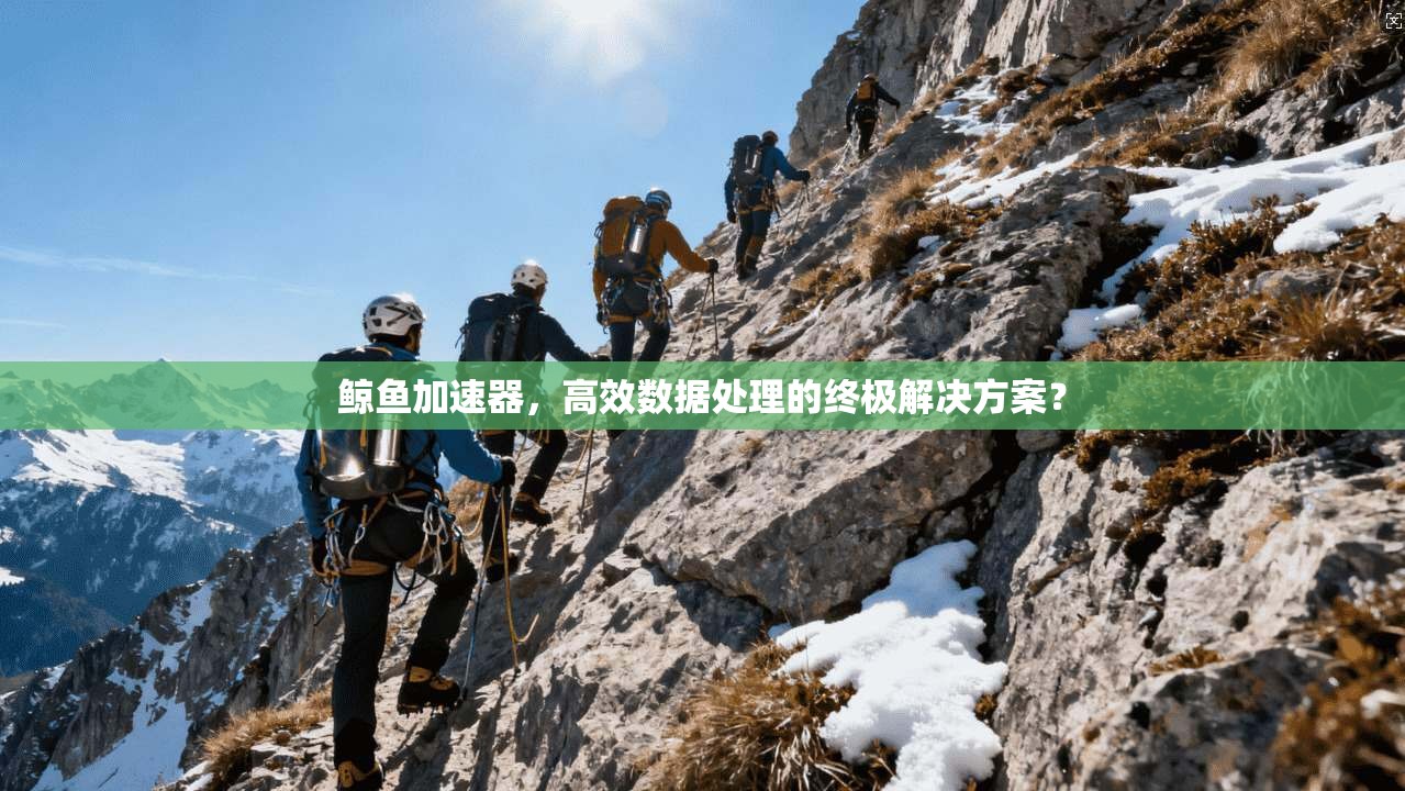 鲸鱼加速器，高效数据处理的终极解决方案？  第1张