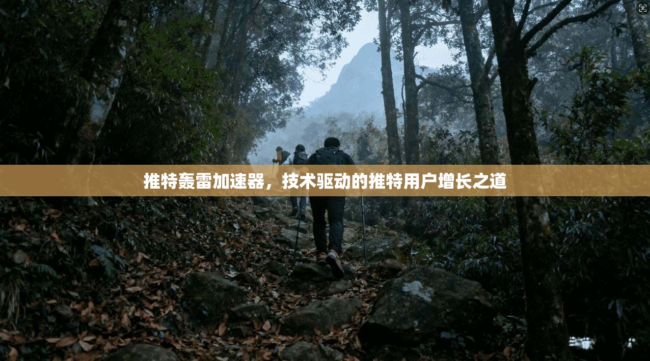 推特轰雷加速器,技术驱动的推特用户增长之道