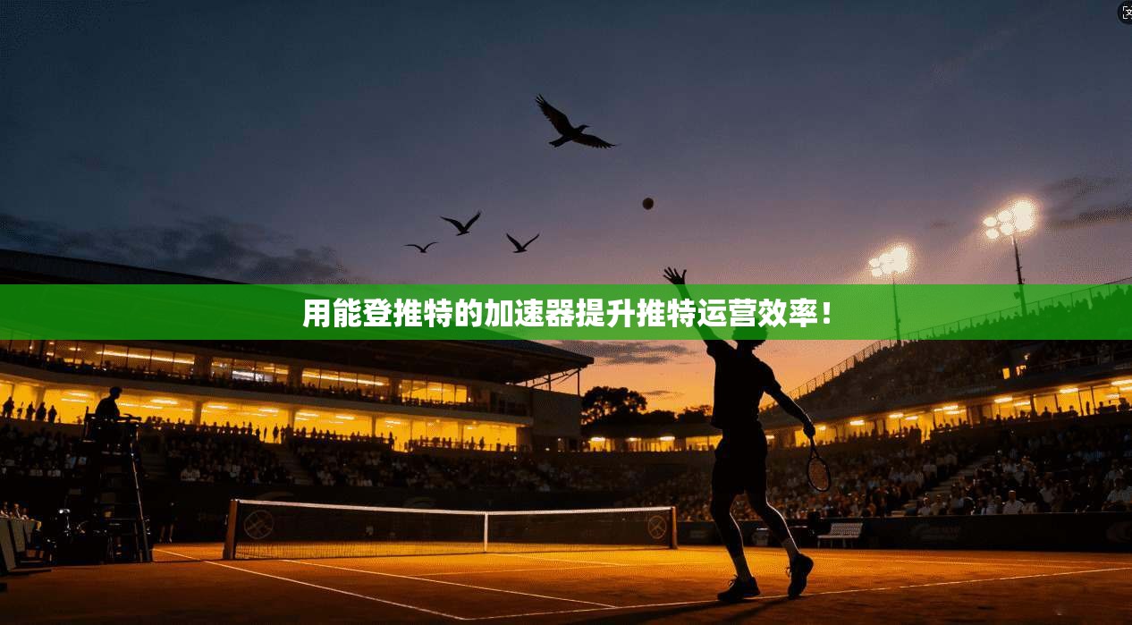 用能登推特的加速器提升推特运营效率！