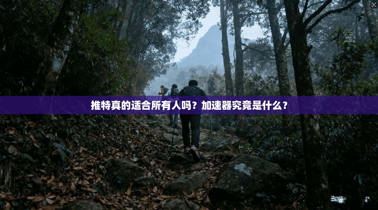 推特真的适合所有人吗？加速器究竟是什么？