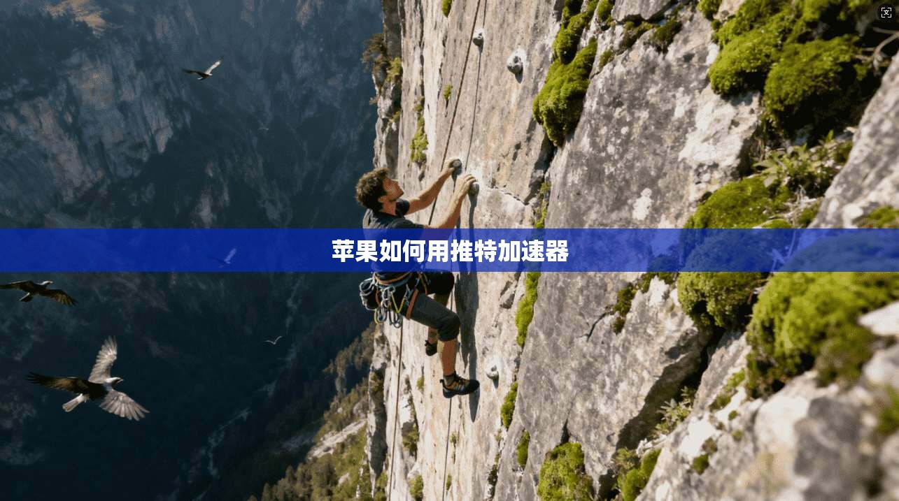 苹果如何用推特加速器