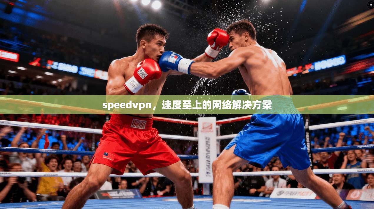 speedvpn，速度至上的网络解决方案
