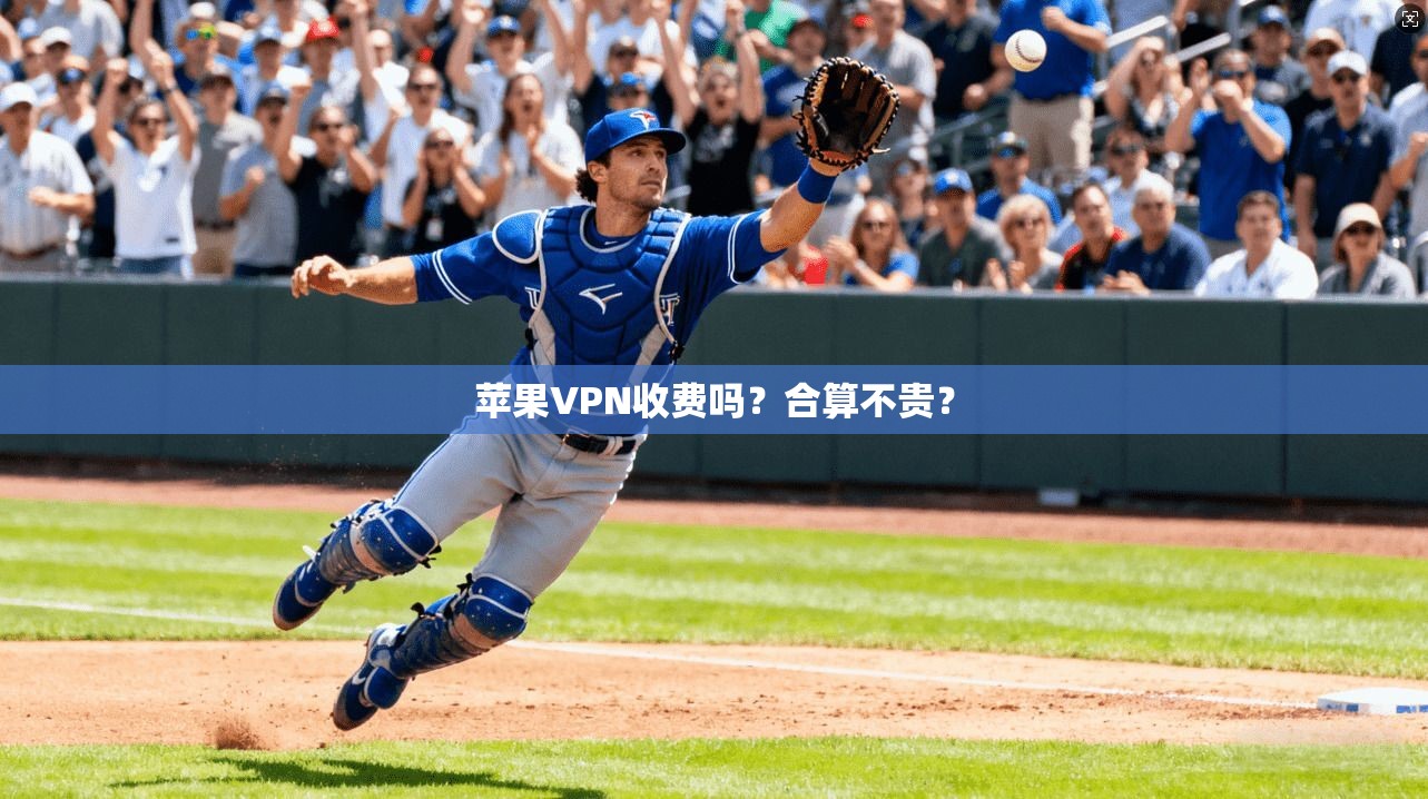 苹果VPN收费吗？合算不贵？