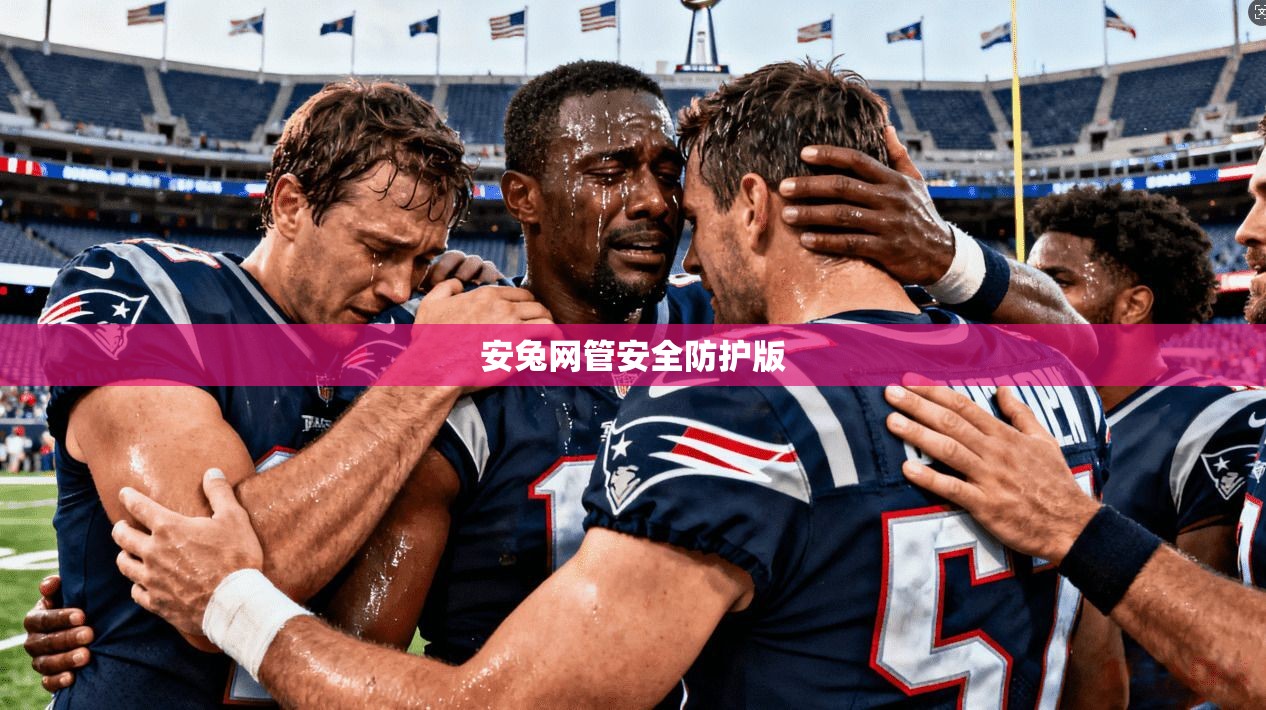安兔网管安全防护版