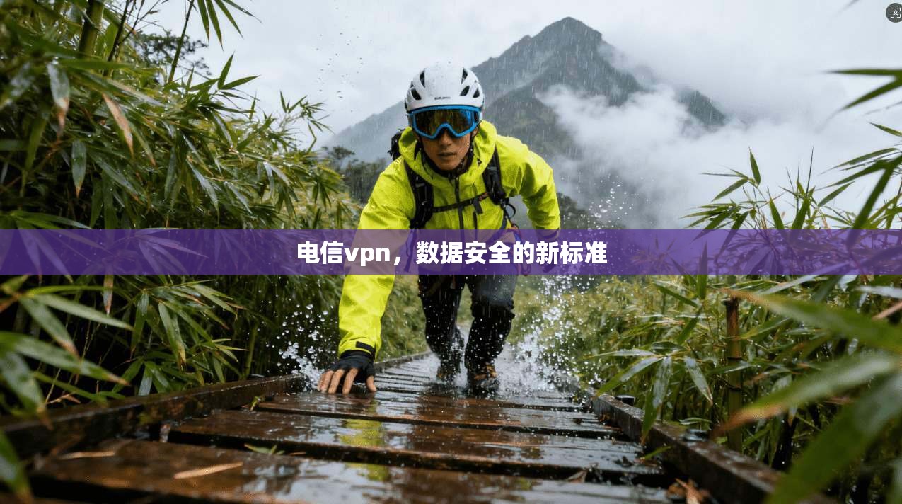 电信vpn，数据安全的新标准