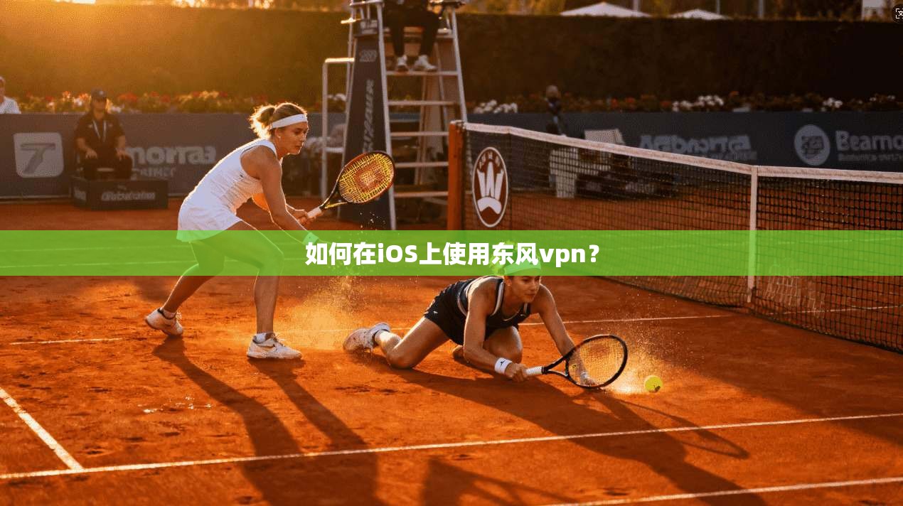 如何在iOS上使用东风vpn？