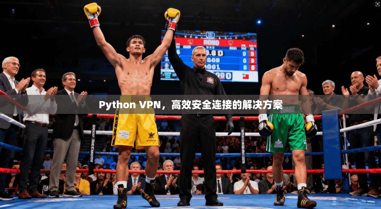 Python VPN，高效安全连接的解决方案