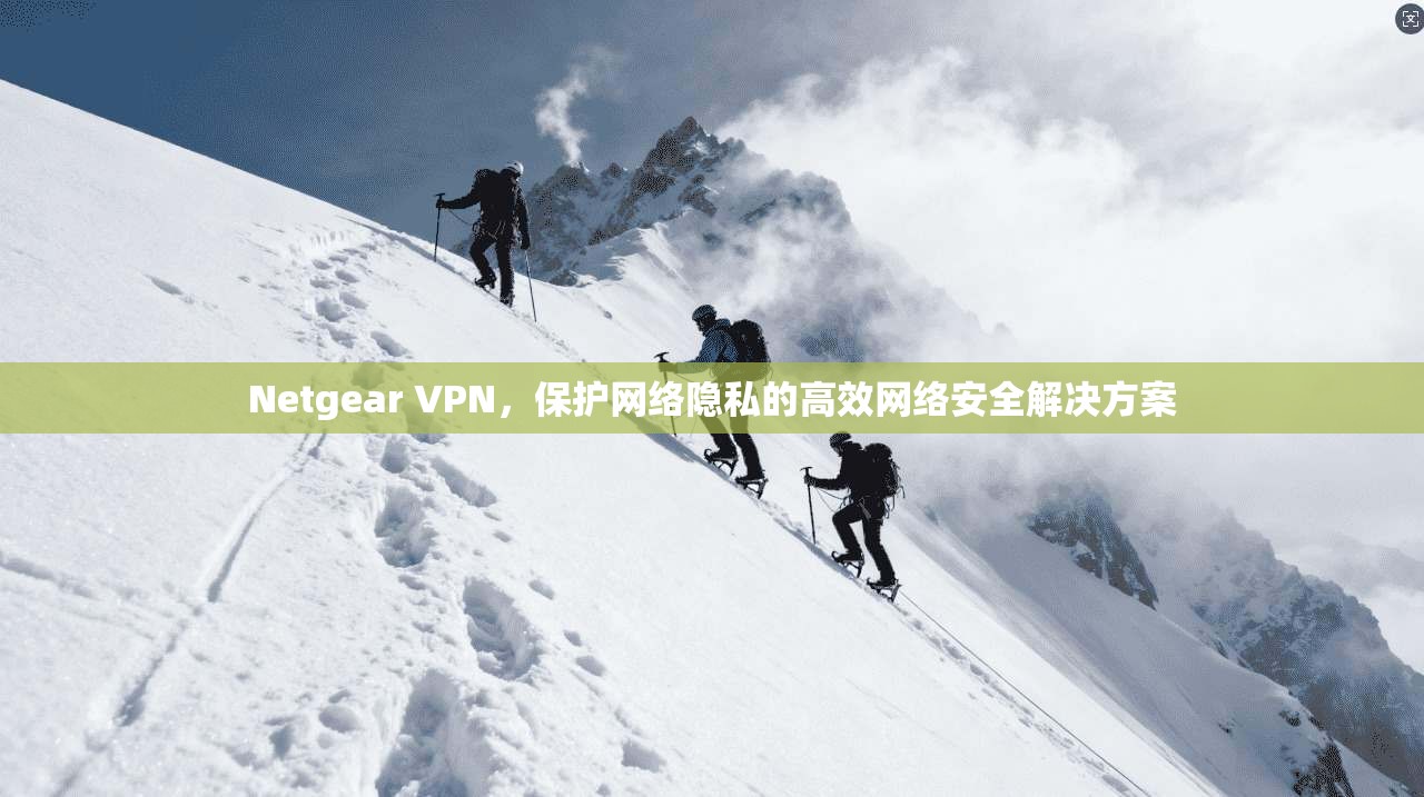 Netgear VPN，保护网络隐私的高效网络安全解决方案